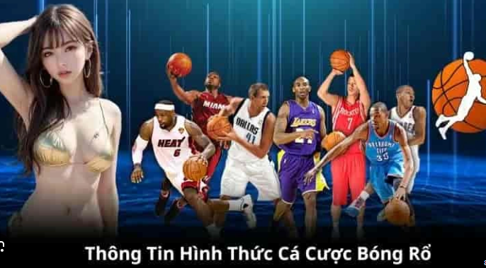 Cách chơi cá cược bóng rổ hướng dẫn chi tiết Cách chơi cá cược bóng rổ hướng dẫn chi tiết