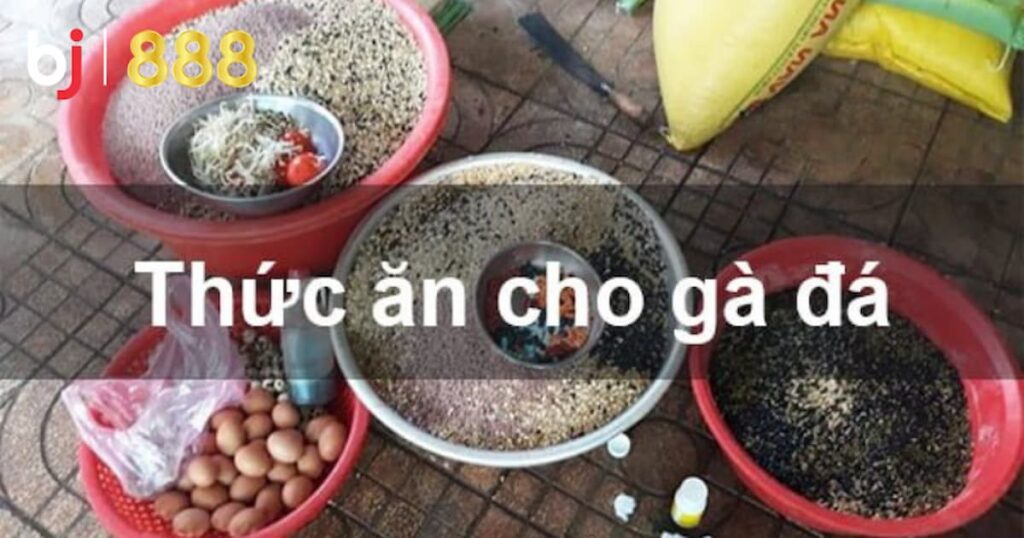 che do an cho ga choi