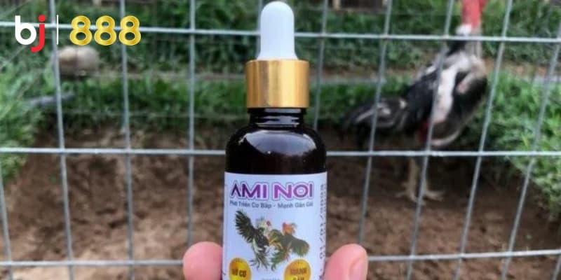 Thuốc bổ cho gà đá Thuốc bổ cho gà đá